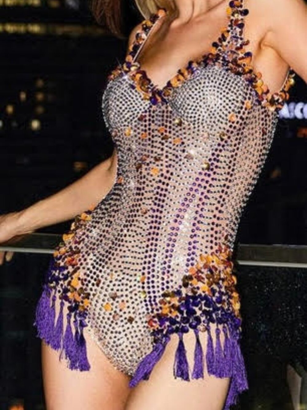 Eoin Embellished Sparkling Fringe Leotard Costume in Silver, Gold, Royal Purple